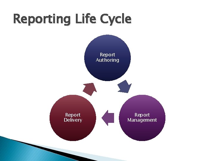 Reporting Life Cycle Report Authoring Report Delivery Report Management 