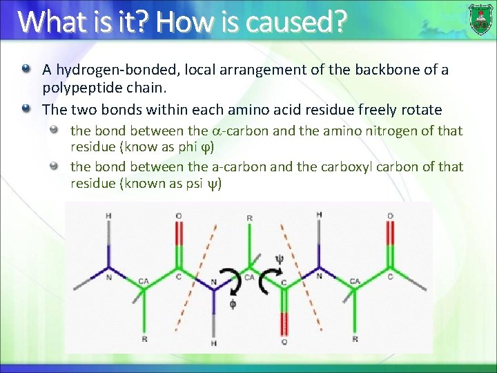 What is it? How is caused? A hydrogen-bonded, local arrangement of the backbone of