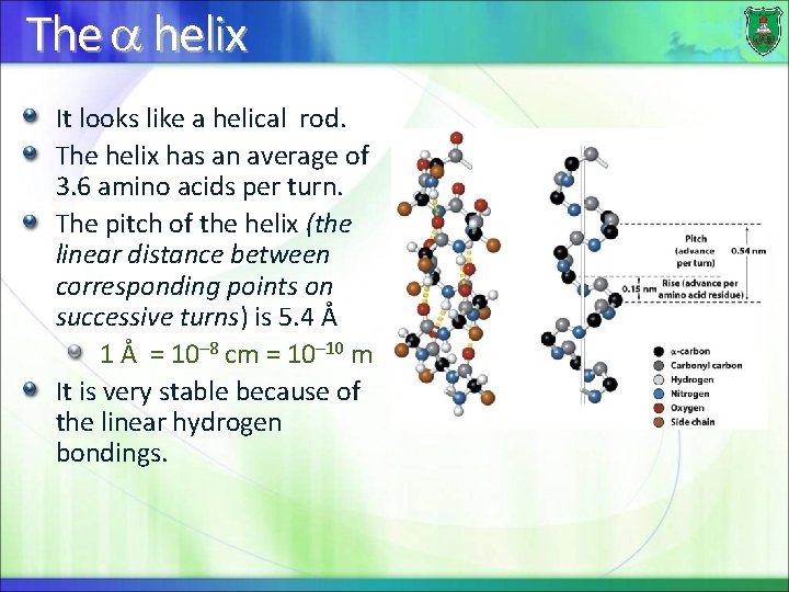 The helix It looks like a helical rod. The helix has an average of