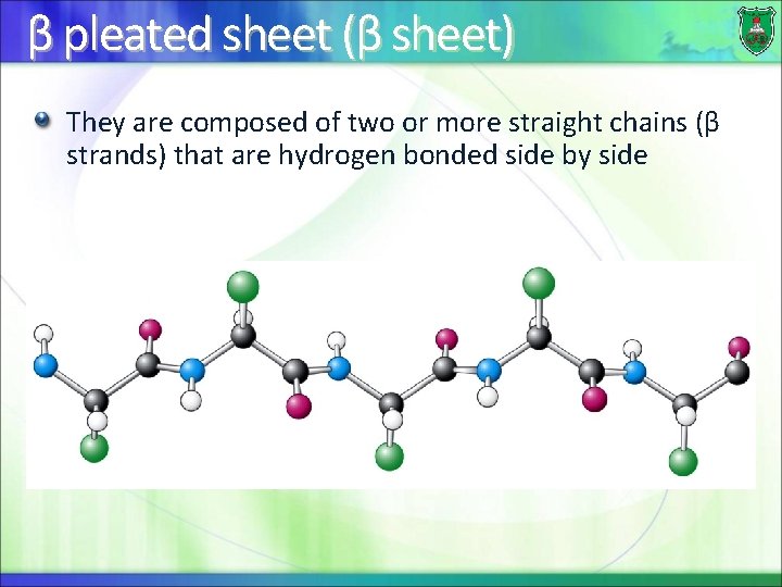 β pleated sheet (β sheet) They are composed of two or more straight chains