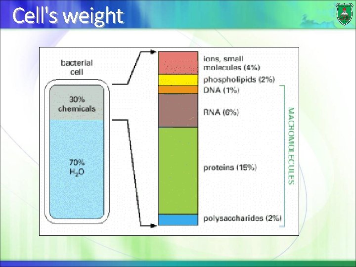 Cell's weight 