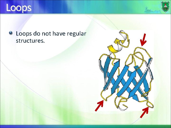Loops do not have regular structures. 