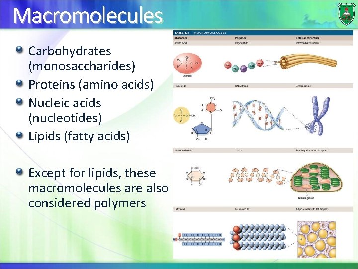 Macromolecules Carbohydrates (monosaccharides) Proteins (amino acids) Nucleic acids (nucleotides) Lipids (fatty acids) Except for