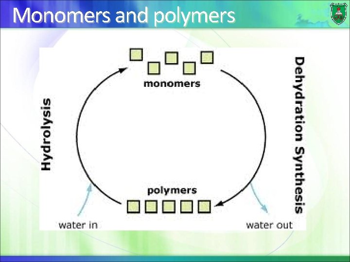 Monomers and polymers 