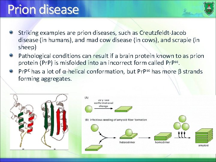 Prion disease Striking examples are prion diseases, such as Creutzfeldt-Jacob disease (in humans), and