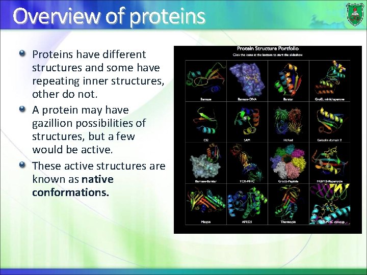 Overview of proteins Proteins have different structures and some have repeating inner structures, other