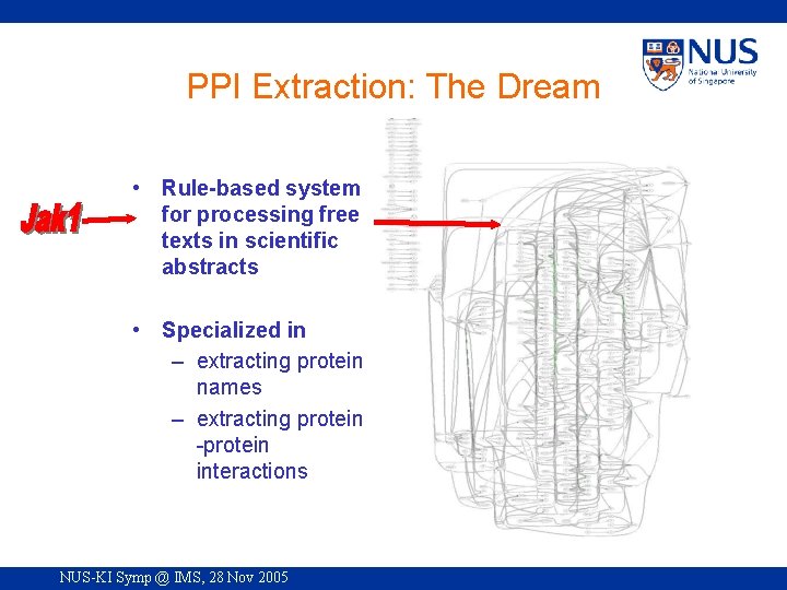 PPI Extraction: The Dream • Rule-based system for processing free texts in scientific abstracts