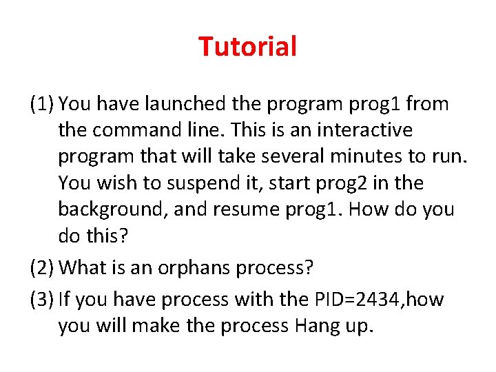 Tutorial (1) You have launched the program prog 1 from the command line. This Tutorial (1) You have launched the program prog 1 from the command line. This