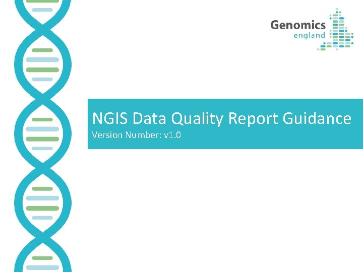 NGIS Data Quality Report Guidance Version Number: v 1. 0 