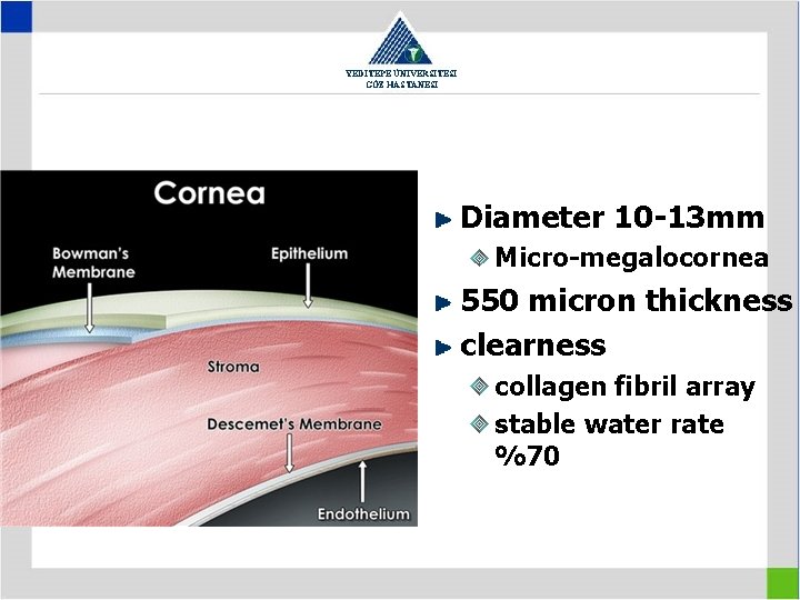 YEDİTEPE ÜNİVERSİTESİ GÖZ HASTANESİ Diameter 10 -13 mm Micro-megalocornea 550 micron thickness clearness collagen