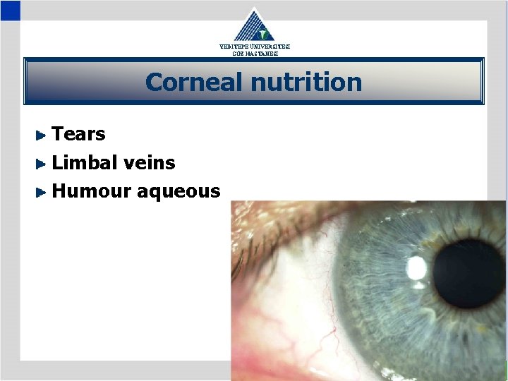 YEDİTEPE ÜNİVERSİTESİ GÖZ HASTANESİ Corneal nutrition Tears Limbal veins Humour aqueous 