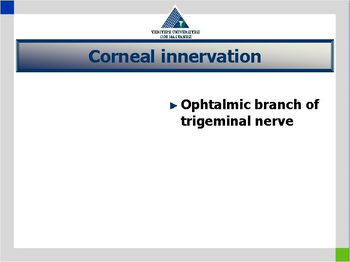 YEDİTEPE ÜNİVERSİTESİ GÖZ HASTANESİ Corneal innervation Ophtalmic branch of trigeminal nerve 