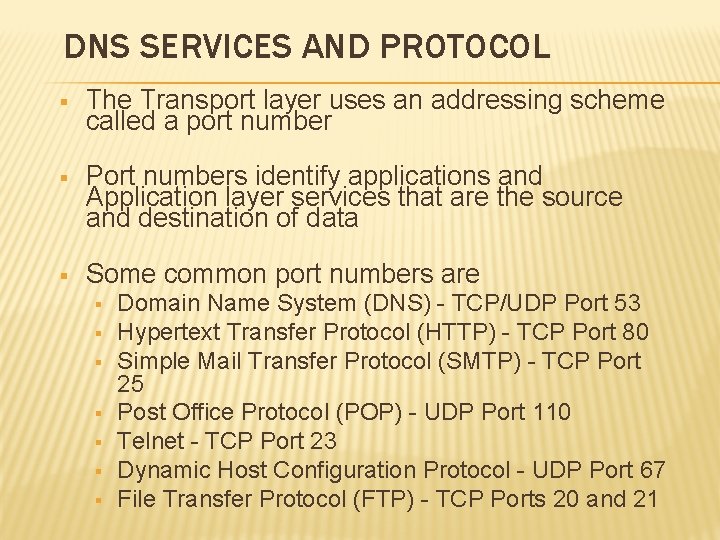 DNS SERVICES AND PROTOCOL § The Transport layer uses an addressing scheme called a
