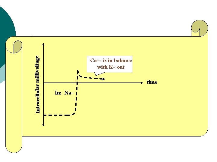 Intracellular millivoltage Ca++ is in balance with K+ out time In: Na+ 