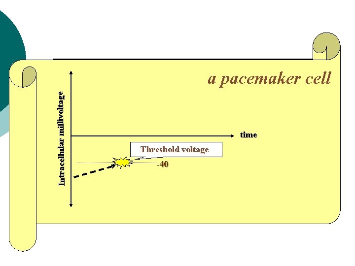 Intracellular millivoltage a pacemaker cell time Threshold voltage -40 
