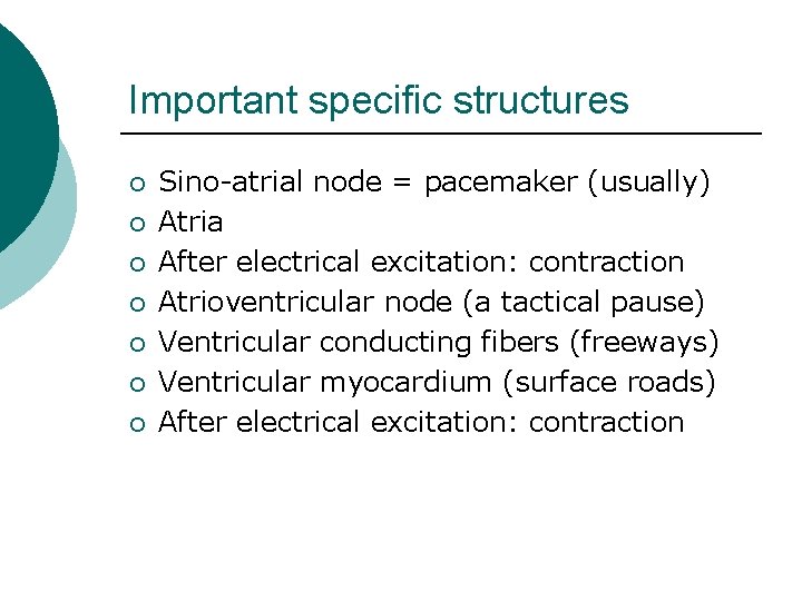 Important specific structures ¡ ¡ ¡ ¡ Sino-atrial node = pacemaker (usually) Atria After