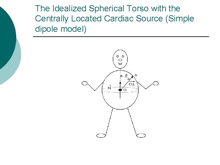The Idealized Spherical Torso with the Centrally Located Cardiac Source (Simple dipole model) 