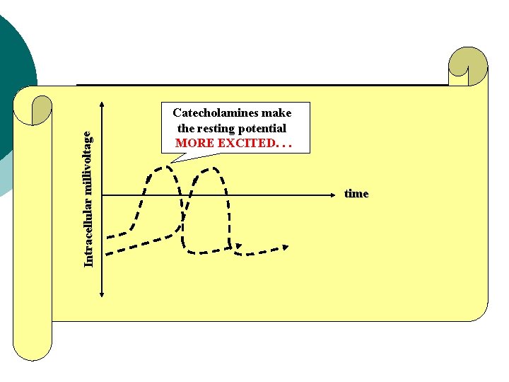 Intracellular millivoltage Catecholamines make the resting potential MORE EXCITED. . . time 