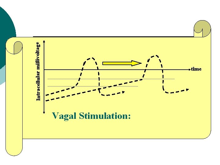 Intracellular millivoltage time Vagal Stimulation: 