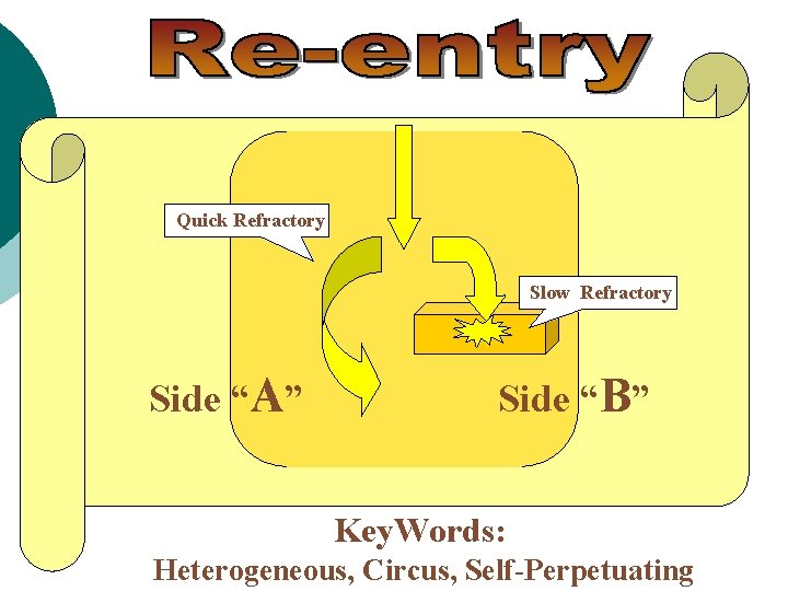 Quick Refractory Slow Refractory Side “A” Side “B” Key. Words: Heterogeneous, Circus, Self-Perpetuating 