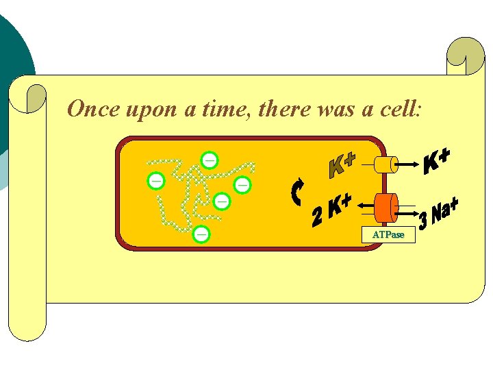 Once upon a time, there was a cell: ATPase 