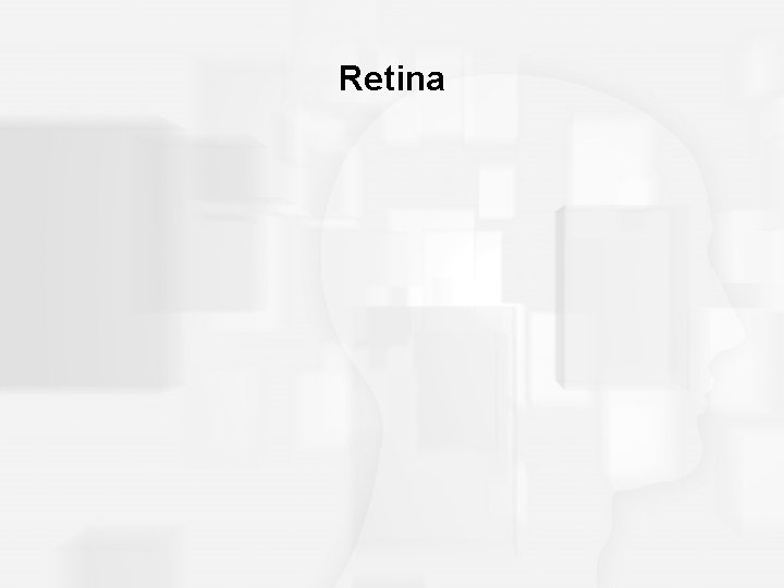 Retina 