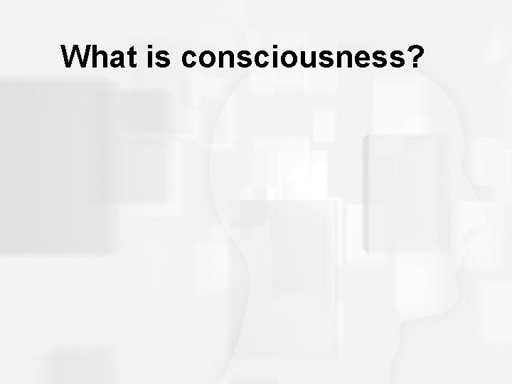 What is consciousness? 