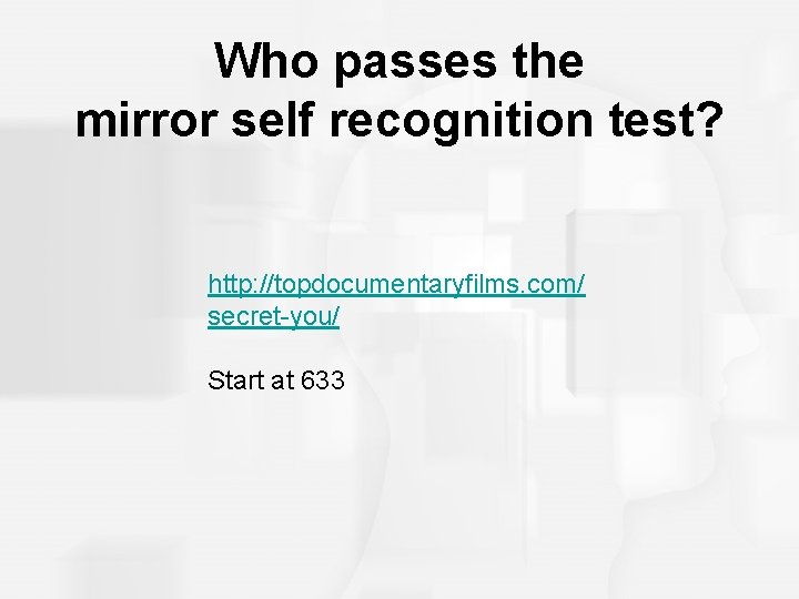 Who passes the mirror self recognition test? http: //topdocumentaryfilms. com/ secret-you/ Start at 633