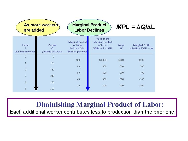 As more workers are added Marginal Product Labor Declines MPL = Q/ L Diminishing