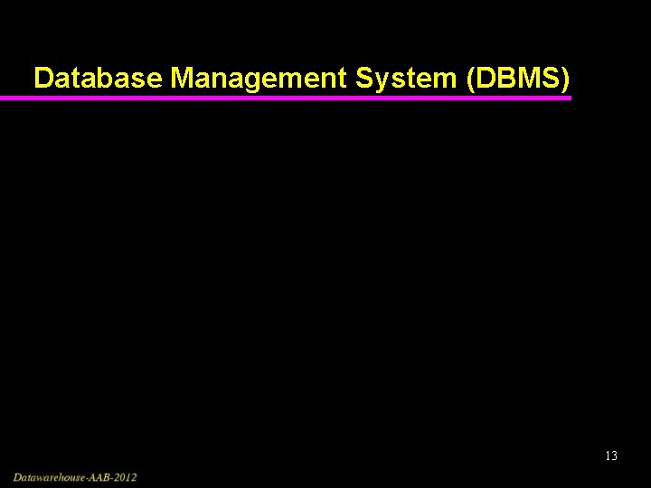 Database Management System (DBMS) 13 
