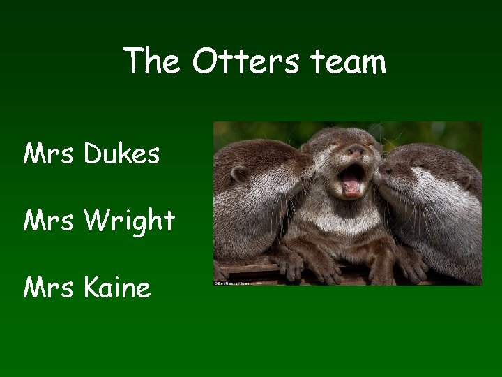 The Otters team Mrs Dukes Mrs Wright Mrs Kaine 