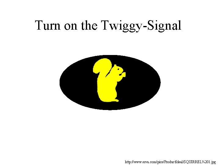 Turn on the Twiggy-Signal http: //www. erva. com/pics/Product. Ideal/SQUIRREL%201. jpg 