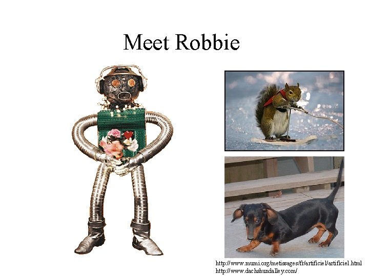 Meet Robbie http: //www. mumi. org/metissages/fr/artificiel. html http: //www. dachshundalley. com/ 