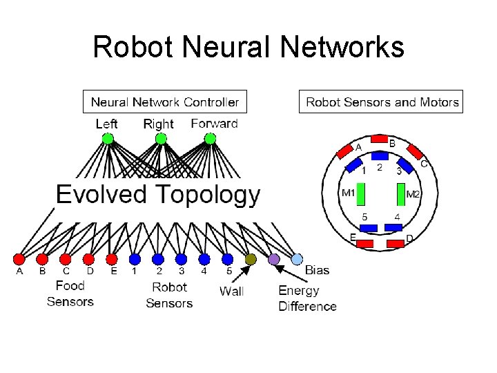 Robot Neural Networks 