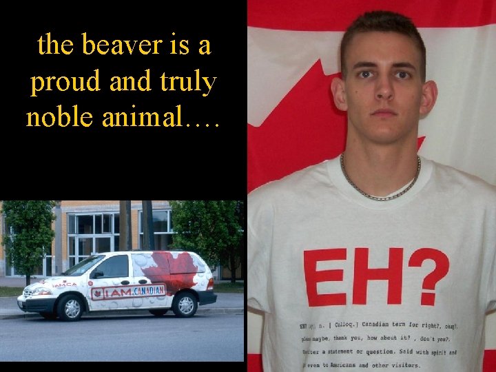 the beaver is a proud and truly noble animal…. 