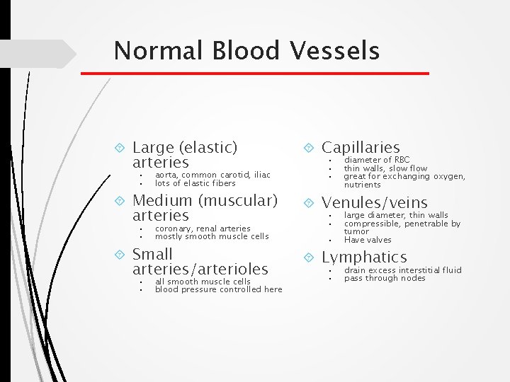 Normal Blood Vessels Large (elastic) arteries • • aorta, common carotid, iliac lots of