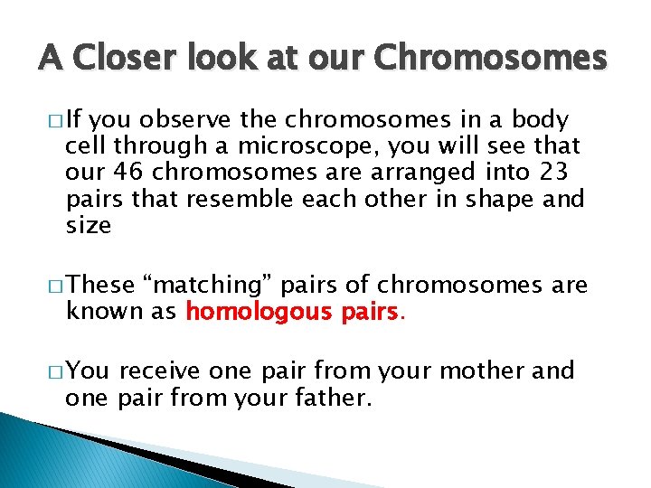 A Closer look at our Chromosomes � If you observe the chromosomes in a