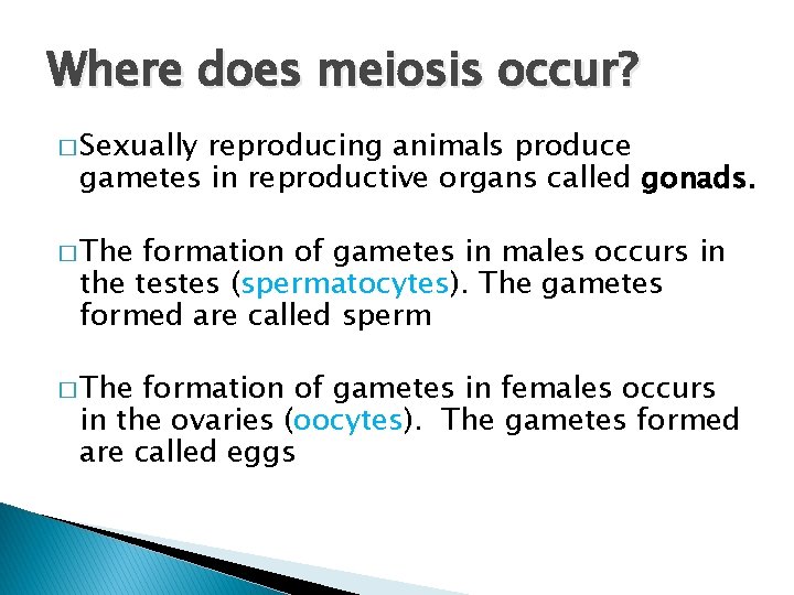 Where does meiosis occur? � Sexually reproducing animals produce gametes in reproductive organs called