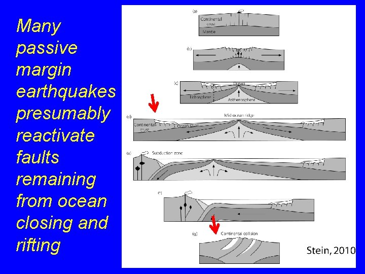 Many passive margin earthquakes presumably reactivate faults remaining from ocean closing and rifting Many passive margin earthquakes presumably reactivate faults remaining from ocean closing and rifting