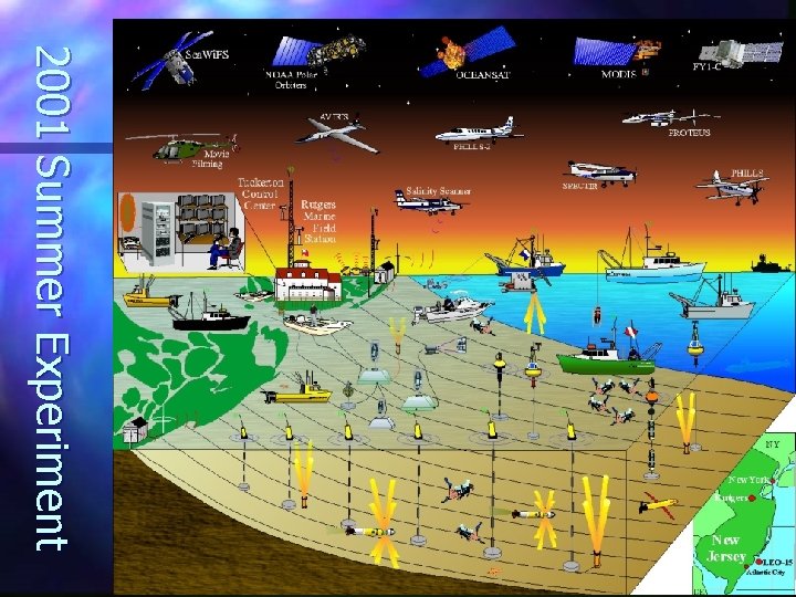 2 0 0 1 S u m m e r Ex p e r