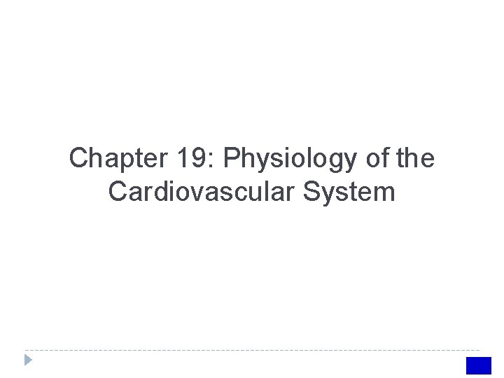 Chapter 19 Physiology of the Cardiovascular System INTRODUCTION