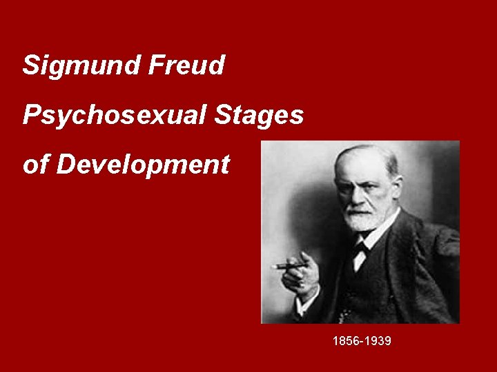 Sigmund Freud Psychosexual Stages of Development 1856 -1939 