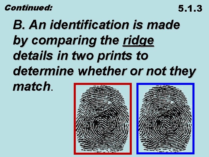 Continued: 5. 1. 3 B. An identification is made by comparing the ridge details