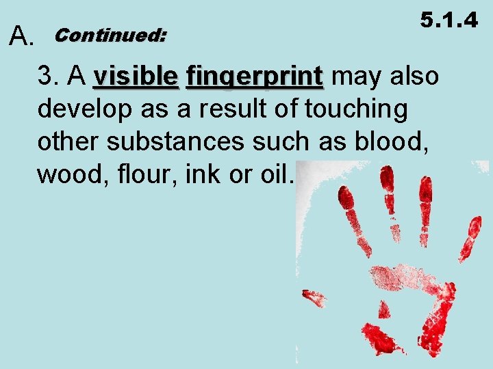5. 1. 4 A. Continued: 3. A visible fingerprint may also fingerprint develop as