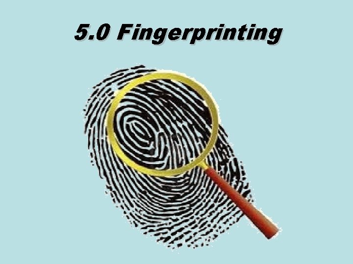 5. 0 Fingerprinting 