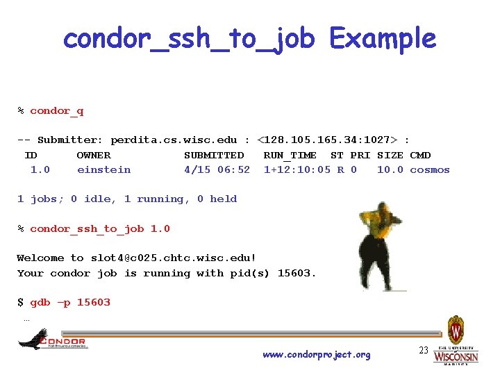condor_ssh_to_job Example % condor_q -- Submitter: perdita. cs. wisc. edu : <128. 105. 165.