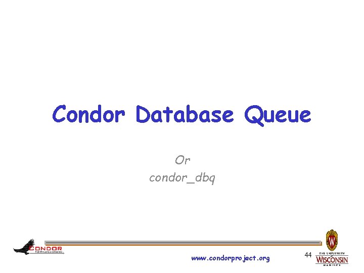 Condor Database Queue Or condor_dbq www. condorproject. org 44 