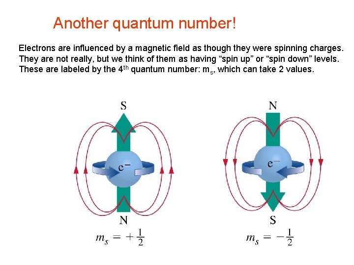 Another quantum number! Electrons are influenced by a magnetic field as though they were