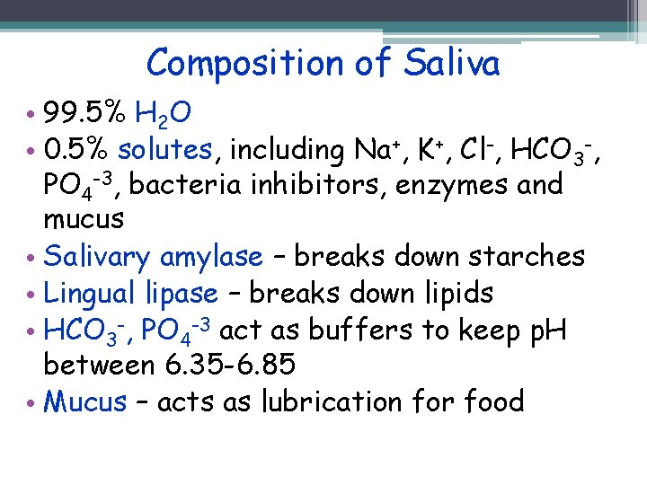 Composition of Saliva • 99. 5% H 2 O • 0. 5% solutes, including