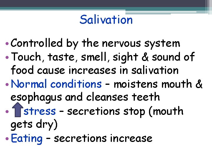 Salivation • Controlled by the nervous system • Touch, taste, smell, sight & sound